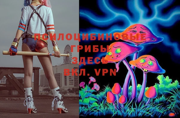 сатива Белоозёрский