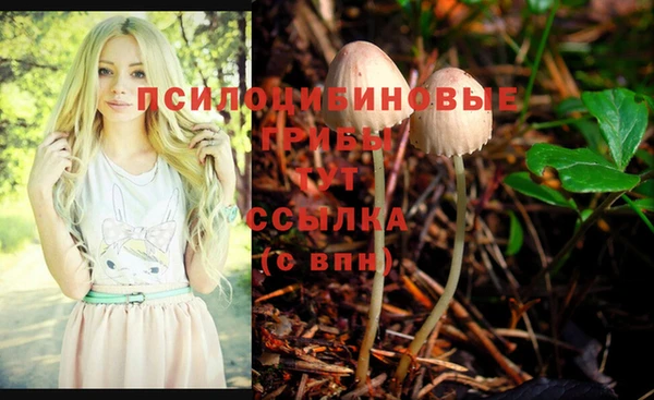 spice Белокуриха