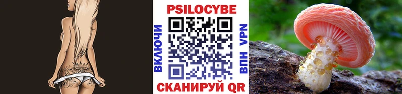 где купить наркотик  Щёкино  Псилоцибиновые грибы GOLDEN TEACHER 